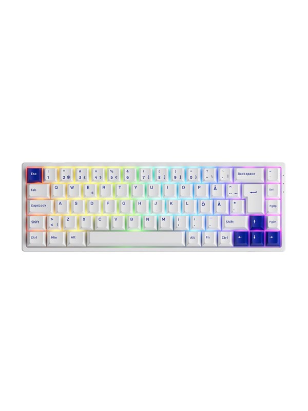 Hvid Akkogear 3068b Blue White Akko Jelly Blue Gaming Tastatur Nordisk - Akkogear Gaming  - 6925758621533