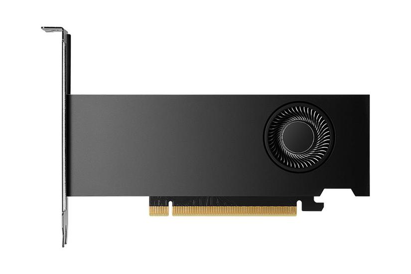 Nvidia Rtx 2000 Ada Generation Grafikkort 16gb Gddr6 Nvidia Rtx 2000 Ada Pci Express - Pny Gaming  - 3536403398941